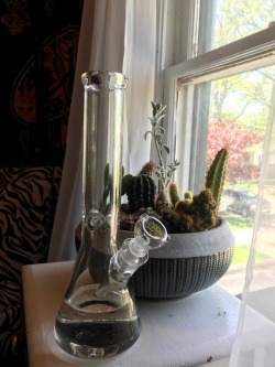 sparkingbuds:Clean bongs are so beautiful