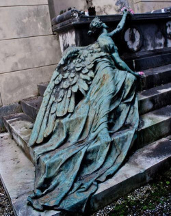  Amaleia-Rose: “What If A Weeping Angel Fell In Love With A Human, But She Could