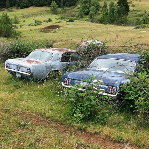 http://siquemola.tumblr.com/post/129377224502