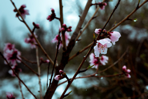 © Aaron Fagerstrom