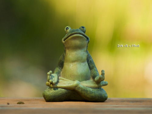 meditation in padmasana adult photos