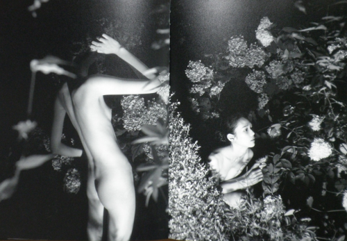 laniferous-e:  Daido Moriyama + Hajime Sawatari, “Record Extra Issue #1 Snap & Tao” 