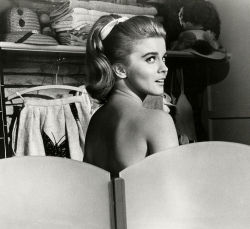 hoodoothatvoodoo:  Ann-Margret 1964