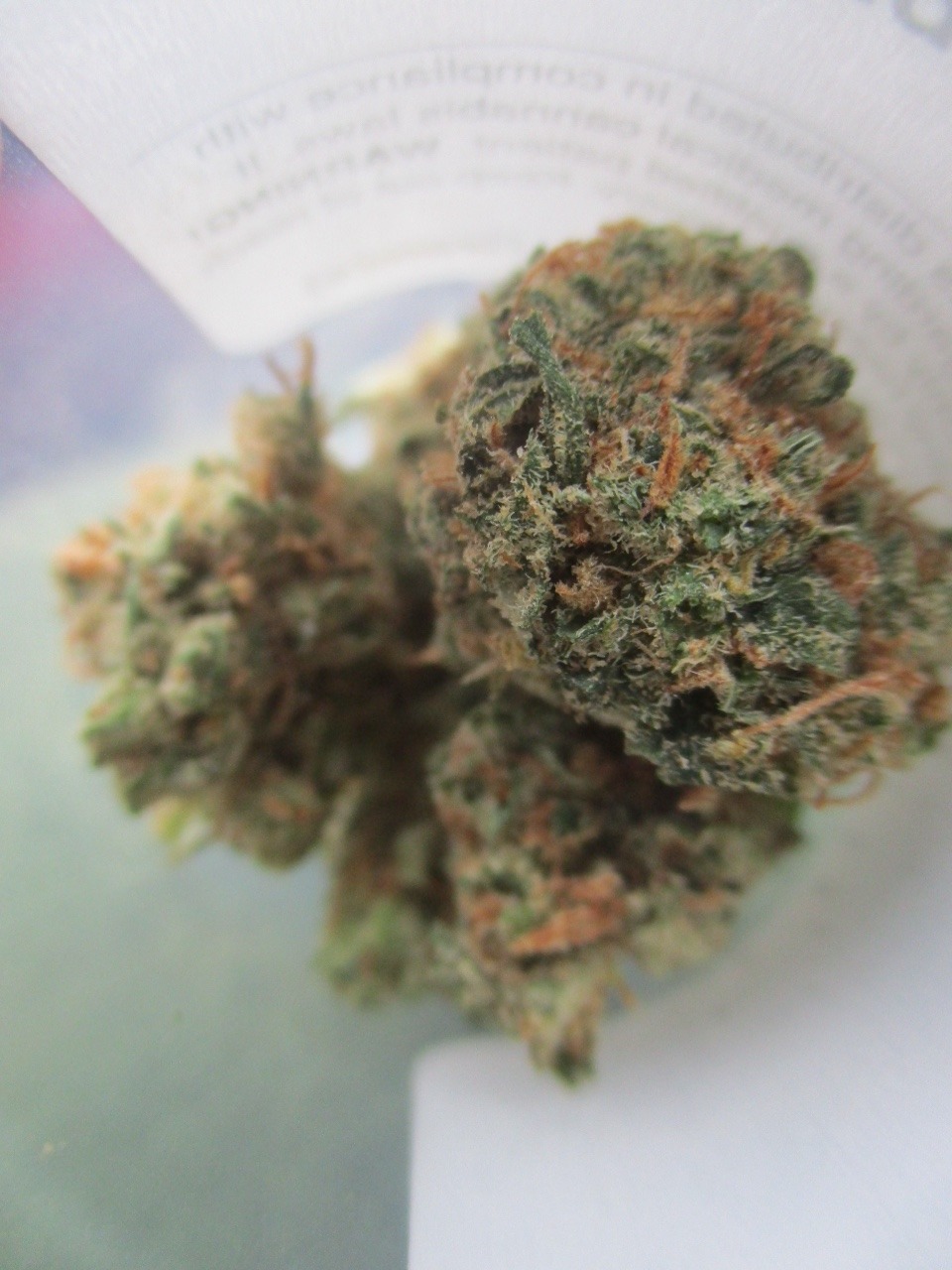 chloechronic:  jack 😋