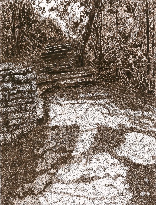 Hidden Steps11 inches by 14 inchesSepia Ink on BristolThe stone staircase to Hidden Falls - St. Paul