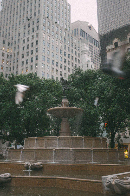 A Fountain Near Central Park 