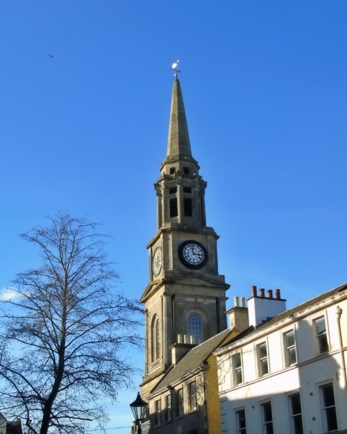  The Cock o’ the Steeple.Sunlight catching the  weather vane cockerel on Falkirk Steeple.  The