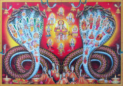 ivashiva:  DURGA LAKSHMI SHIVA VISHNU in