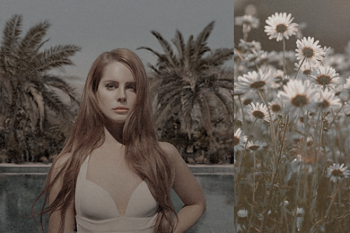 deadlynigthshade:Lana Del Rey albums x flowers