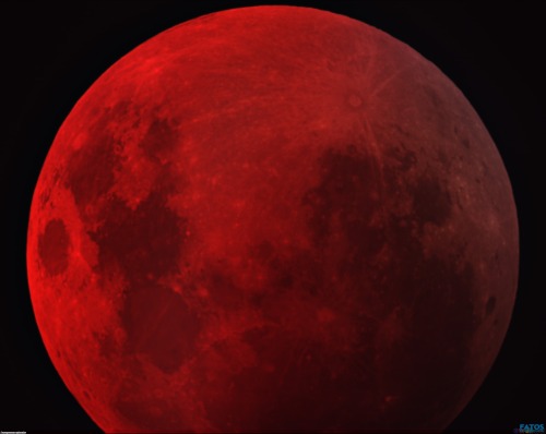 psychedeliclights:  …Lunar eclipse…