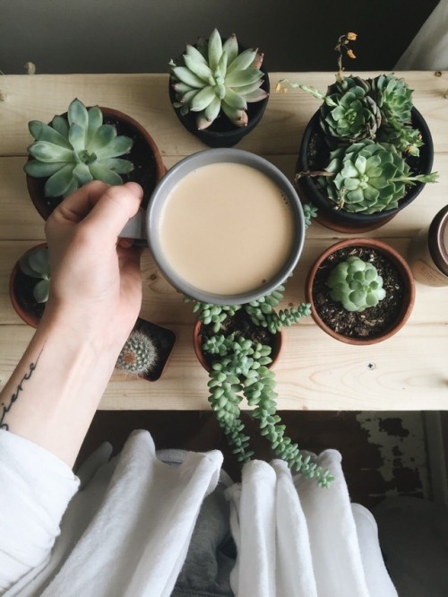Tea And Village Plant Witch Aesthetic Requested By Anon