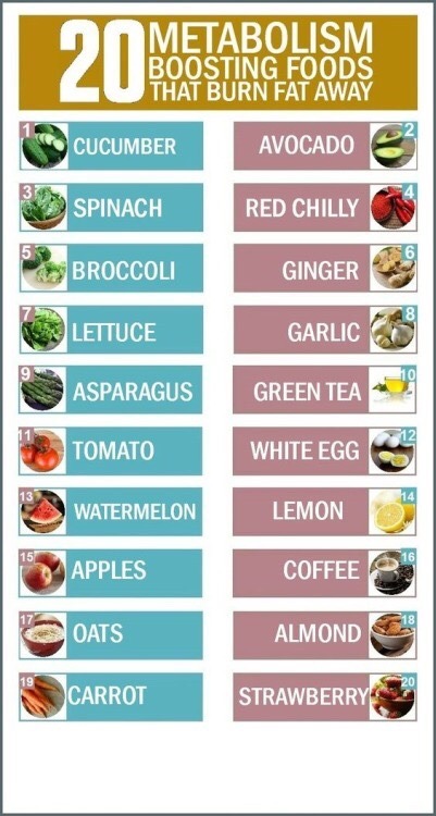 zengardenamaozn:    You should also eat a wide range of foods to make sure you’re getting a balanced diet and your body is receiving all the nutrients it needs.  