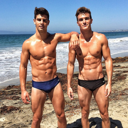 porngayme:  Reblog: boyzoo:Franky Cammarata & Vince Sant (x)