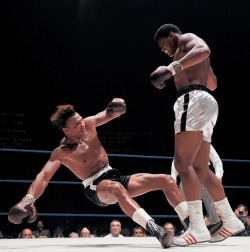 starbucks-fauxhemian:   Muhammad Ali knockouts