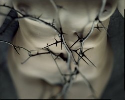 lairofthewolf:  maschera-e-inganno:  Juan Manuel Castro Prieto  No roses tonight, just the thorns. 