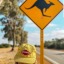 chaoticaussie