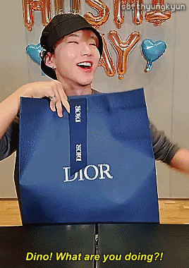 Dinos Gift To Hoshi
