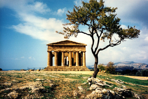 Valle dei templi (Agrigento - Sicily - Italy)