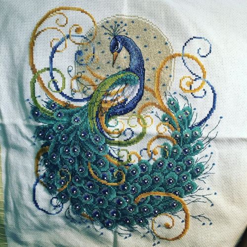 crossstitchworld: An older finished Peacock I had done by OverMlMs
