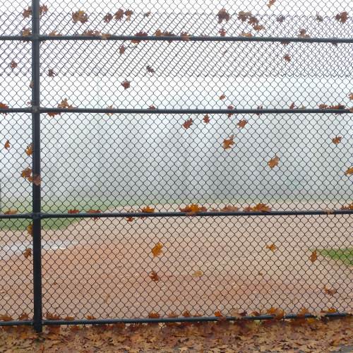 Fence and leaves in the fog.