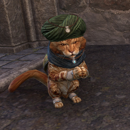 Fezez, an Alfiq Khajiit. 