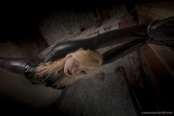 petmistress:  Is it a crime for me to desire my sufferings to be artistic? —heather kitten