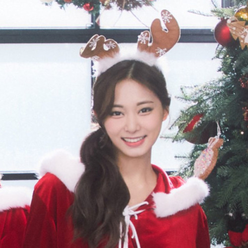 Christmas Icons