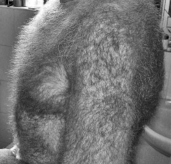 fatherlust:  A Father’s fur. 