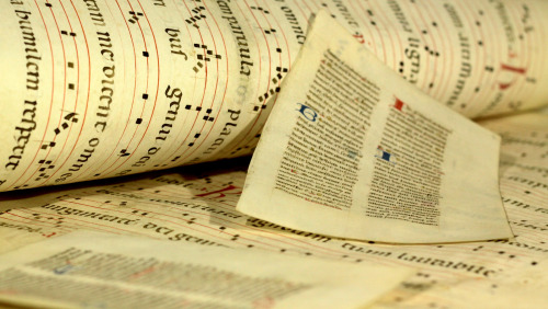 michaelmoonsbookshop:15th century manuscript pages on vellum