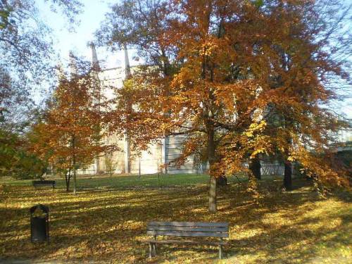 Autumn - trees in Slowacki’s park in city Wroclaw, Poland.