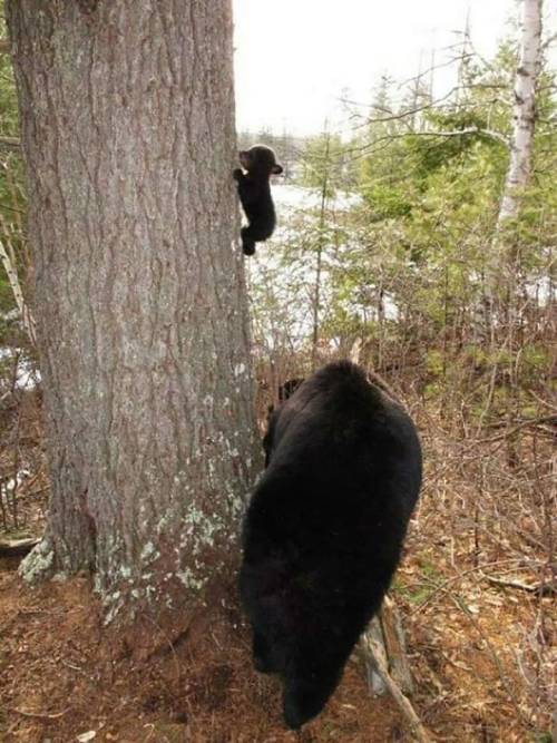 wow, this little guy is barely a size of a peanut and is already giving his momma grey hair. What a 