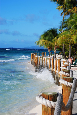 omgshowmetheworld:  Palm Island, The Grenadines    