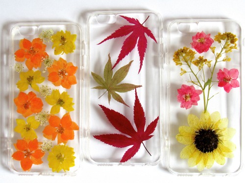 kloica:Autumn Real Flower Cases by Kloica Accessories