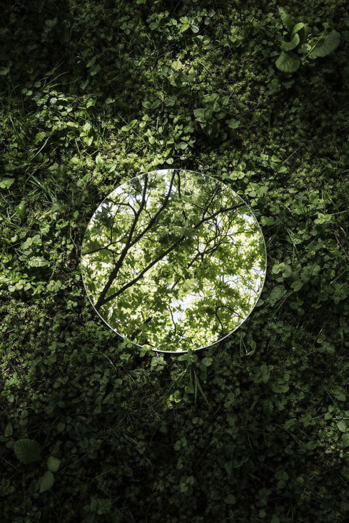 sixpenceee:Beauty of nature in mirror reflections. By​ Sebastian Magnani