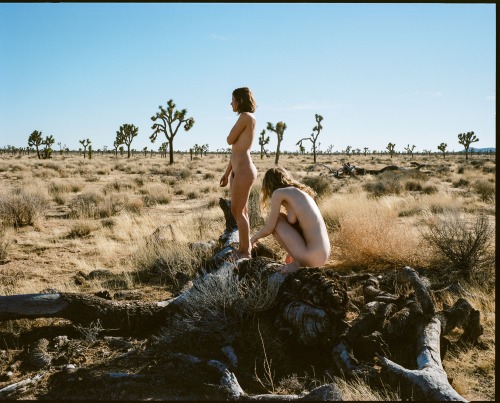 XXX creativerehab: At Joshua Tree.   Lo-res 120 photo