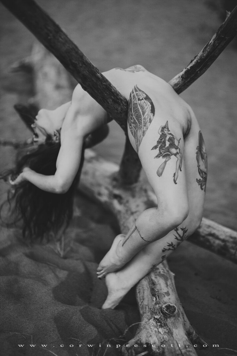 corwinprescott:  “Into The Wild”Portland, Or 2015Corwin Prescott - Apnea - Full