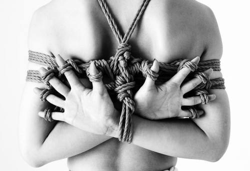 mai8chan:  Shibari & Photo Hajime Kinoko