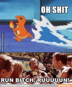 darlinglycans:  Run little charmander!