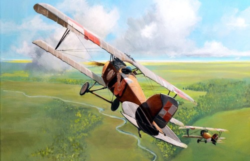 1919 Albatros DIII Oeffag Poland - Robert Firszt