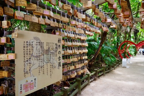 青島神社⛩