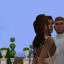 laridasims
