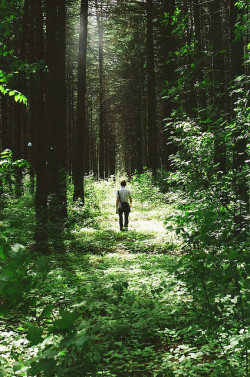 plscry:  untitled by hulla_hu | via Tumblr on We Heart It. http://weheartit.com/entry/75944491/via/babelincoln