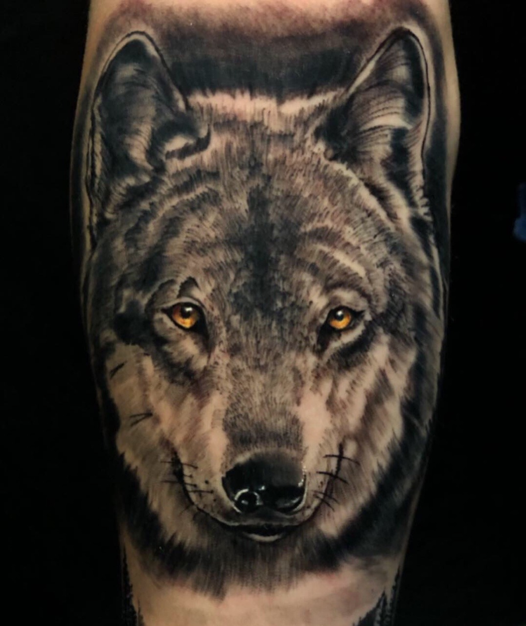 Expressionist wolf portrait tattoo on the upper arm.