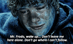mockingjaykatniss2:Middle Earth meme | [3/3] heroes ► Samwise Gamgee↳   “ It’s