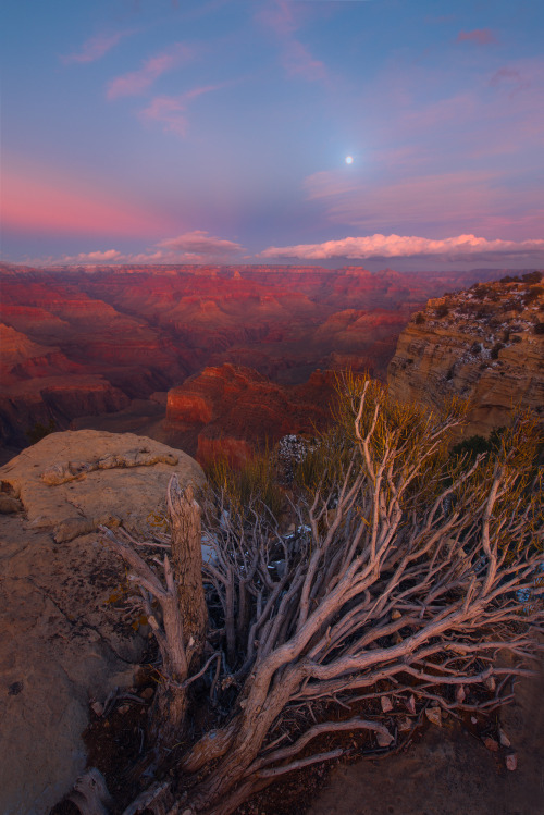 amazinglybeautifulphotography:A really nice winter sunset over the south rim of the Grand Canyon. I camped overnight and was not prepared for temperatures in the single digits (F) after coming from Death Valley…it was a long night. Grand Canyon, AZ