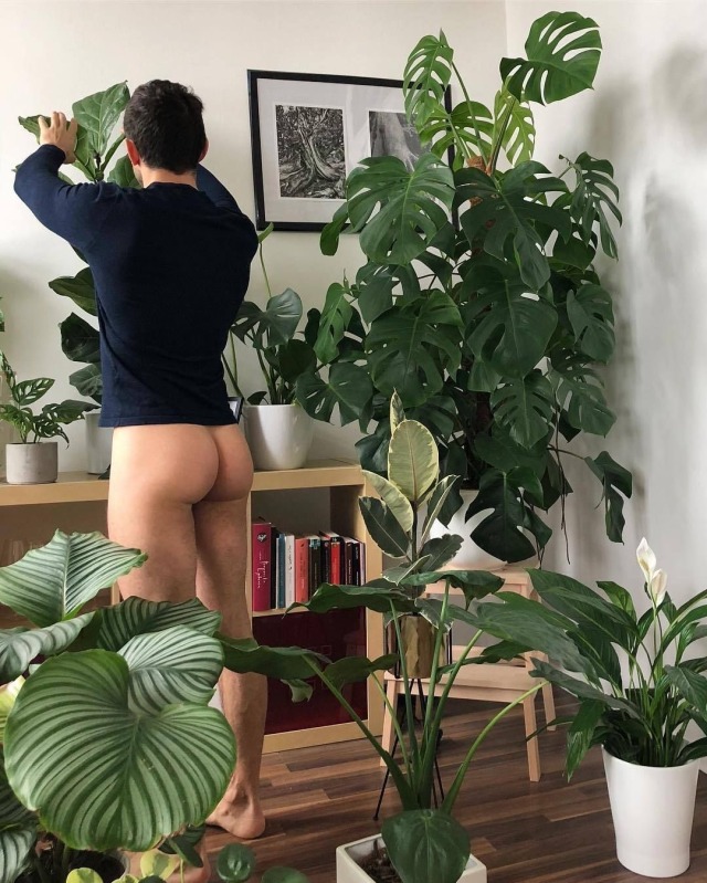 butt-boys:Welcome to the jungle. 