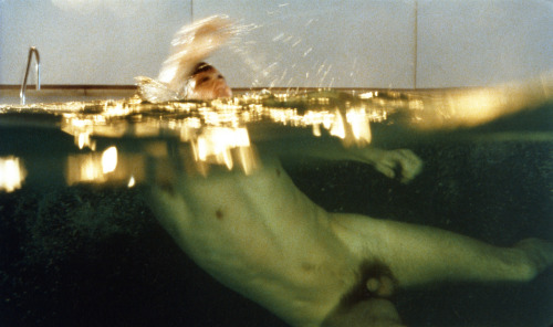 lottereinigerforever: Drowning by Numbers (Peter Greenaway, 1988) 