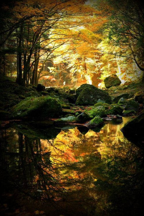lifeisverybeautiful:  Eldorodo - Golden utopia - by yume 