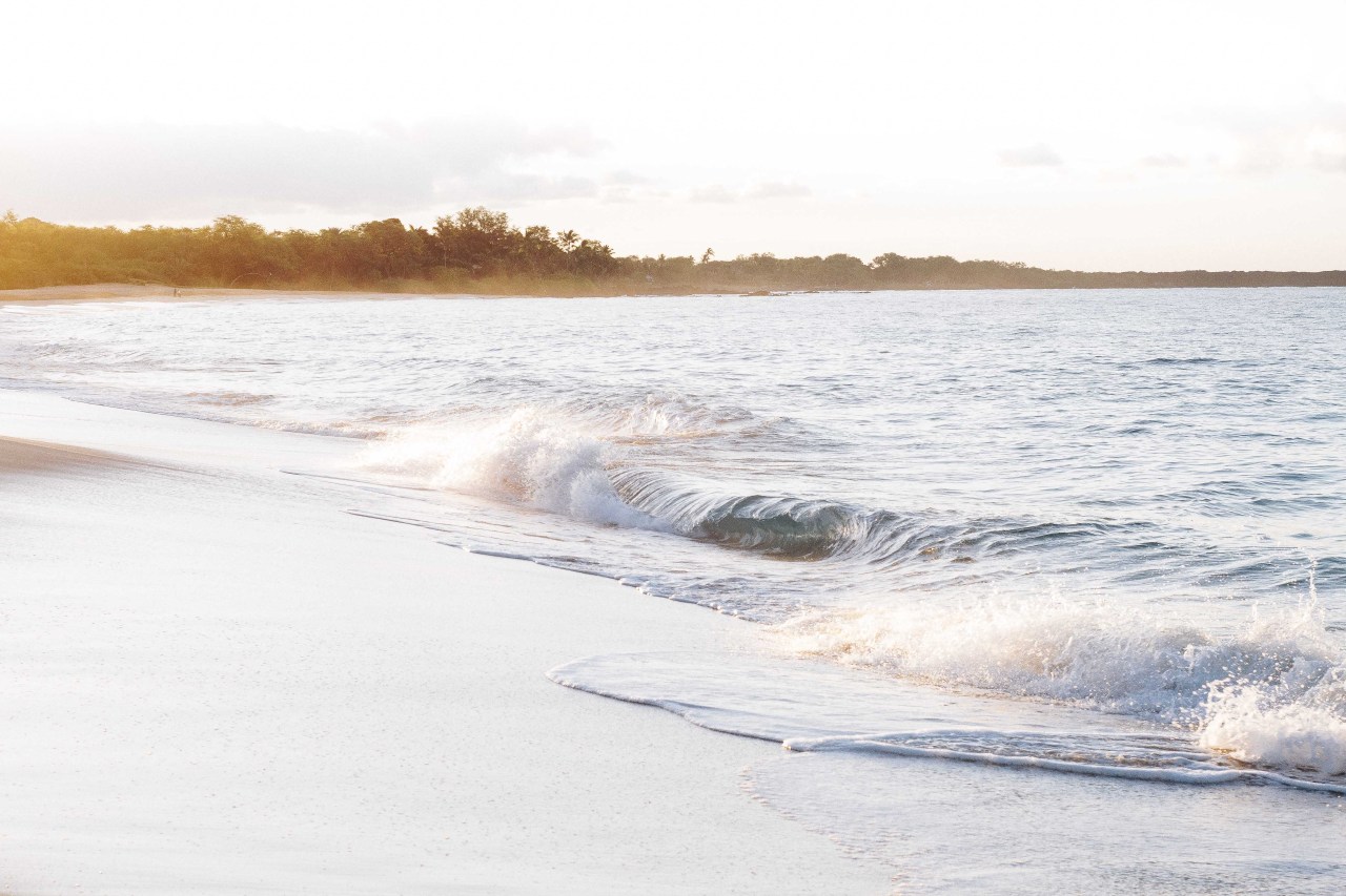 samantheeyo:  Morning sunglaze