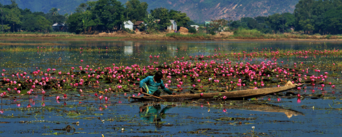 soon-monsoon:Tanguar Haor, Sylhet Division, Bangladesh by Golam Siddiqui